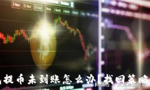 TP钱包提币未到账怎么办?找回策略全解析