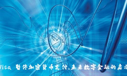 :
Visa 暂停加密货币支付,未来数字金融的启示