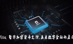: Visa 暂停加密货币支付，未来数字金