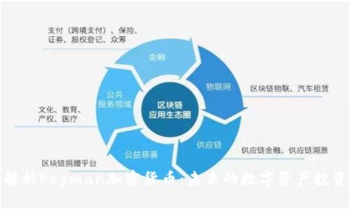 深入解析Peyman加密货币:未来的数字资产投资机会