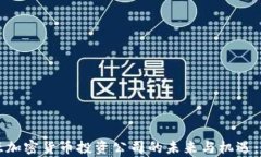 澳大利亚加密货币投资公司的未来与机