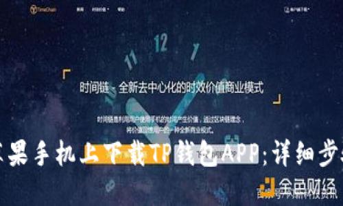 如何在苹果手机上下载TP钱包APP:详细步骤与指南