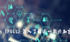 POLLECTIVE Token (POLs)：深入了解这一新兴