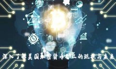 深入了解美国加密货币矿工的现状与未