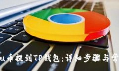 :如何将Kishu币提到TP钱包：详细步骤与