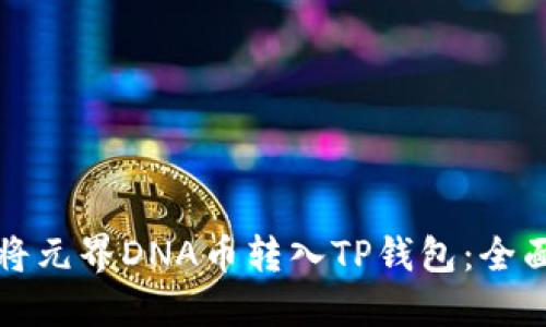 如何将元界DNA币转入TP钱包:全面指南