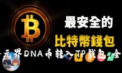 如何将元界DNA币转入TP钱包：全面指南