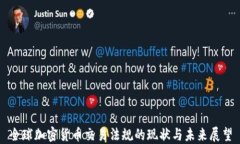 全球加密货币交易法规的现状与未来展