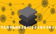  TP钱包转错地址能否追回？全方位解析