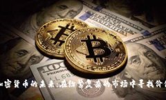 加密货币的未来：在纷繁复杂的市场中