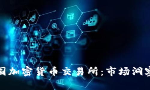 深入了解美国加密货币交易所:市场洞察与投资机会