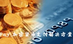 深入了解OKPay：加密货币支付解决方案