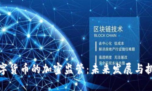 数字货币的加密监管:未来发展与挑战