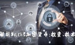 : 深入解析Sachs加密货币：投资、技术