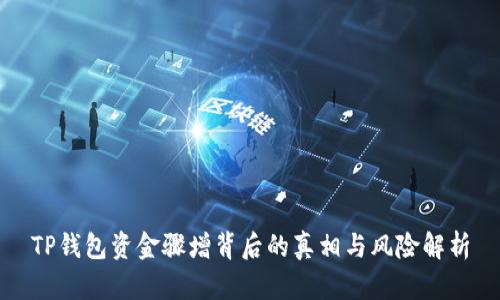 TP钱包资金骤增背后的真相与风险解析