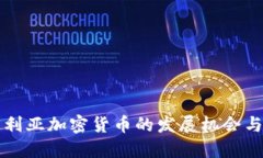 尼日利亚加密货币的发展机会与挑战