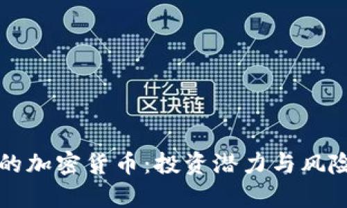 小众的加密货币:投资潜力与风险分析