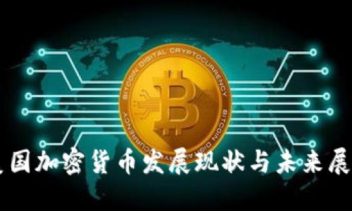 美国加密货币发展现状与未来展望