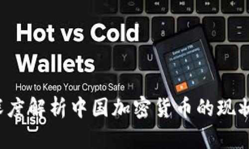 李波:深度解析中国加密货币的现状与未来