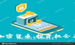 探索廉价加密货币：投资机会与风险分