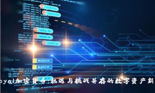Royal加密货币:机遇与挑战并存的数字资产新星