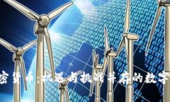 Royal加密货币：机遇与挑战并存的数字