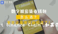 可以将“TP钱包币安链”翻译为 ＂TP