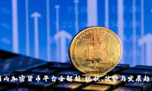 国内加密货币平台全解析:现状、优势与发展趋势