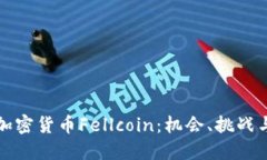 深入探索加密货币Fellcoin：机会、挑战