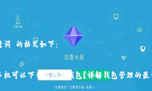 和关键词 的格式如下:
一个手机可以下载几个TP钱包?详解钱包管理的最佳实践