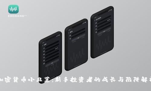 加密货币小韭菜:新手投资者的成长与陷阱解析