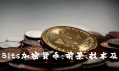 全面解析Bits加密货币：前景、技术及
