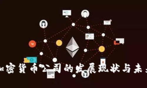 厦门加密货币公司的发展现状与未来趋势