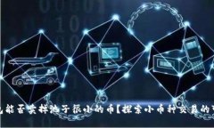 TP钱包能否卖掉池子很小的币？探索小