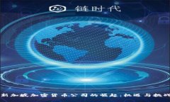 新加坡加密货币公司的崛起：机遇与挑