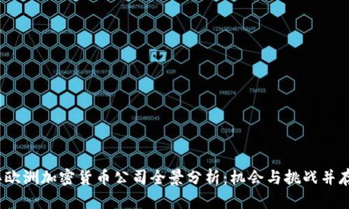 2023年欧洲加密货币公司全景分析:机会与挑战并存的市场