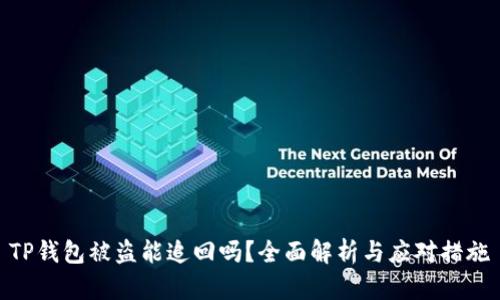 TP钱包被盗能追回吗?全面解析与应对措施