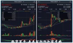 数字货币：未来金融的加密中央