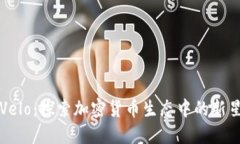 Velo：探索加密货币生态中的新星