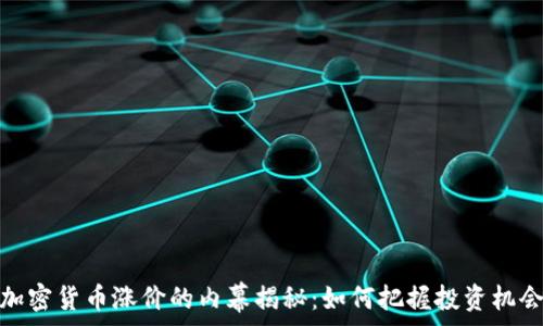 加密货币涨价的内幕揭秘:如何把握投资机会