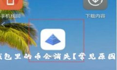 为什么TP钱包里的币会消失？常见原因