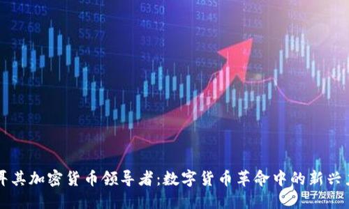 土耳其加密货币领导者:数字货币革命中的新兴力量