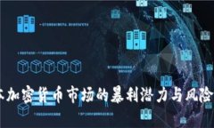 日本加密货币市场的暴利潜力与风险分