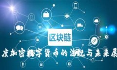 印度加密数字货币的法规与未来展望