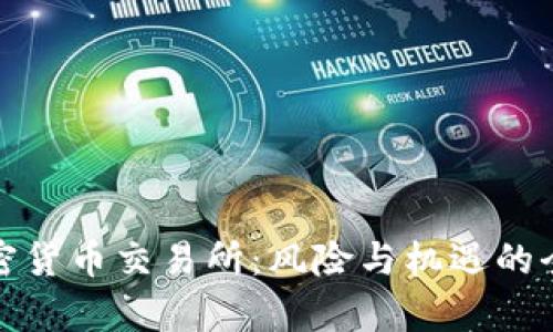 投资加密货币交易所:风险与机遇的全面分析