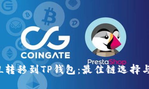 如何将FIL转移到TP钱包:最佳链选择与详细指南