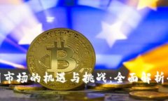 加密货币外国市场的机遇与挑战：全面