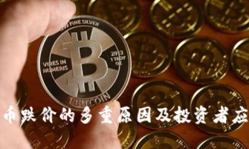 加密货币跌价的多重原因及投资者应对策略
