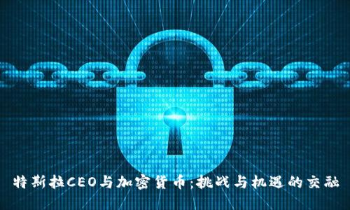 特斯拉CEO与加密货币:挑战与机遇的交融