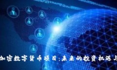 深入探索加密数字货币项目：未来的投